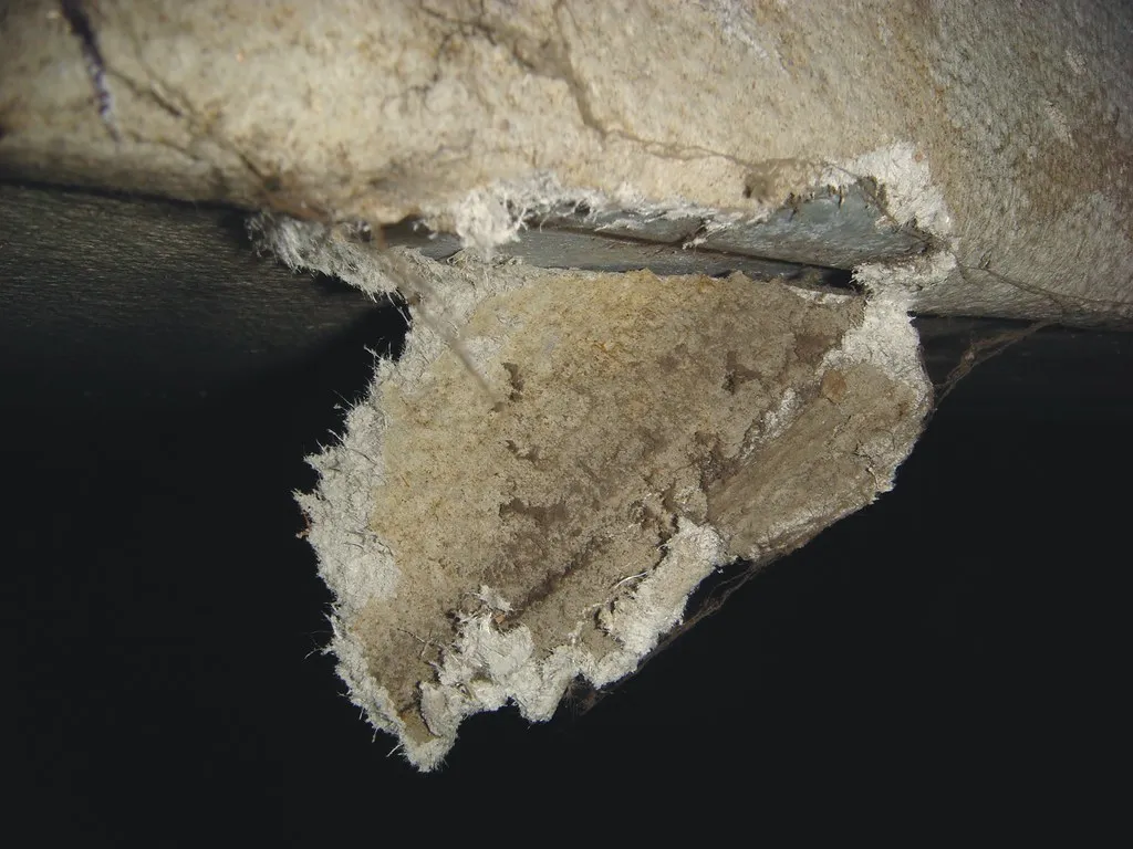 what does asbestos look like in plaster